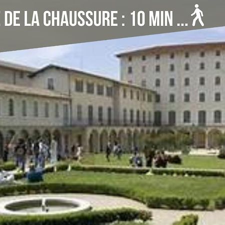 Le Bouquiniste, Centre Historique, Fibre, Ess, Rez-De-Chaussee, Bedinshop Romans-sur-Isère Eksteriør billede