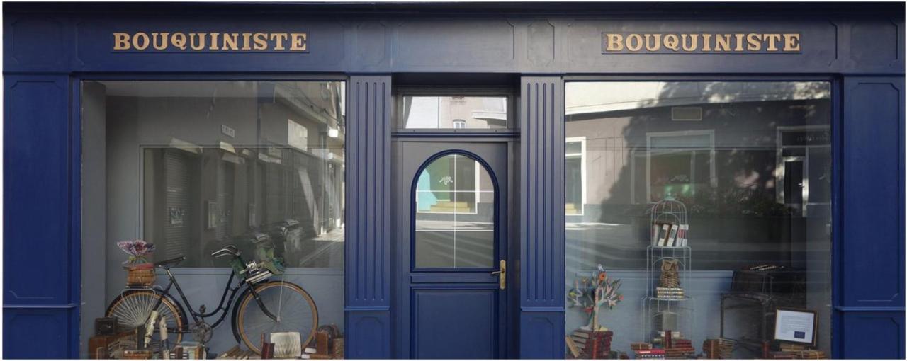 Le Bouquiniste, Centre Historique, Fibre, Ess, Rez-De-Chaussee, Bedinshop Romans-sur-Isère Eksteriør billede