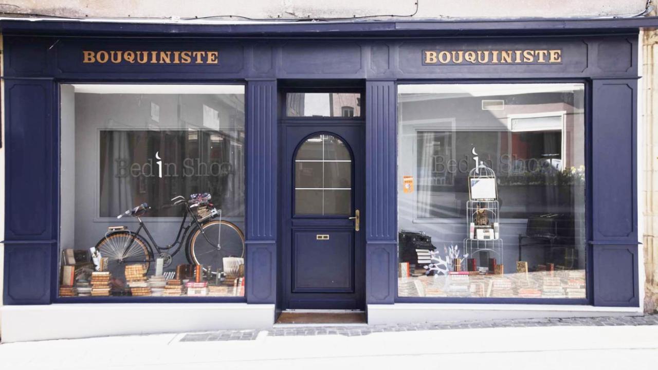 Le Bouquiniste, Centre Historique, Fibre, Ess, Rez-De-Chaussee, Bedinshop Romans-sur-Isère Eksteriør billede
