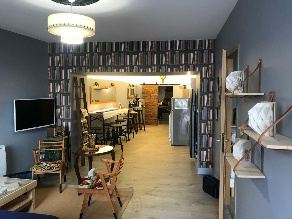 Le Bouquiniste, Centre Historique, Fibre, Ess, Rez-De-Chaussee, Bedinshop Romans-sur-Isère Eksteriør billede