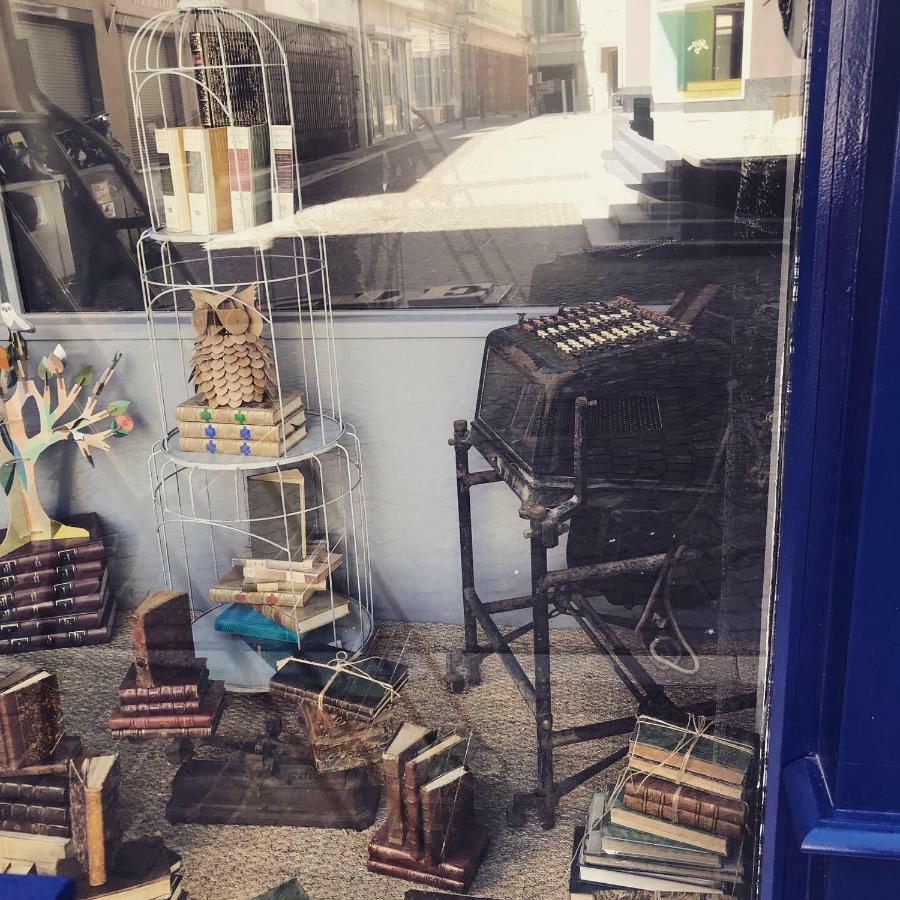 Le Bouquiniste, Centre Historique, Fibre, Ess, Rez-De-Chaussee, Bedinshop Romans-sur-Isère Eksteriør billede